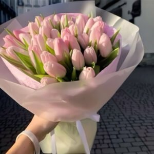 Enchanted Tulips